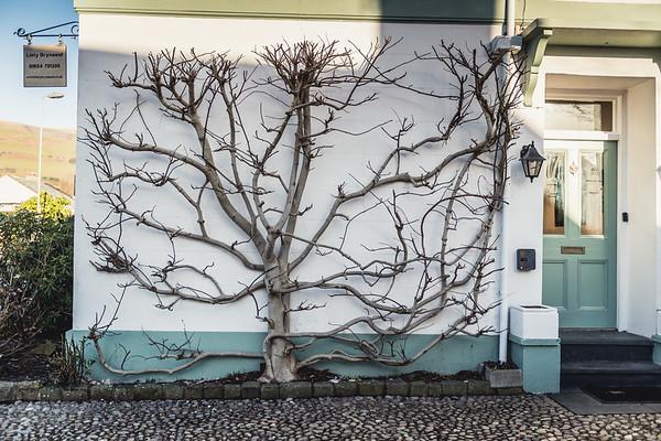 Llety Brynawel Guest House Pennal Zewnętrze zdjęcie