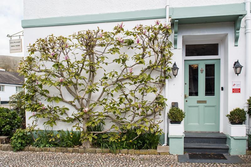 Llety Brynawel Guest House Pennal Zewnętrze zdjęcie